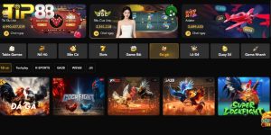 Hướng dẫn quy trình chơi đá gà thomo TIP88
