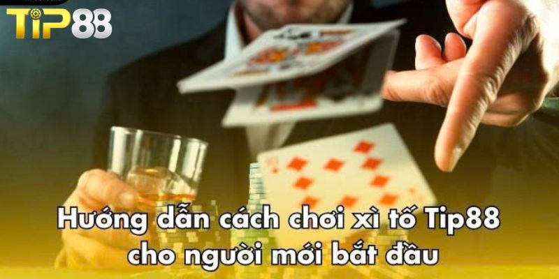 Xì Tố TIP88 – Hướng Dẫn Luật Chơi Chi Tiết Chuẩn Cao Thủ Hướng dẫn quy trình tham gia Xì tố TIP88