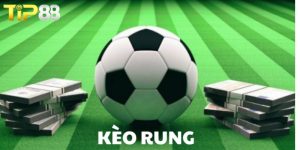 Khám phá hình thức chơi kèo rung TIP88