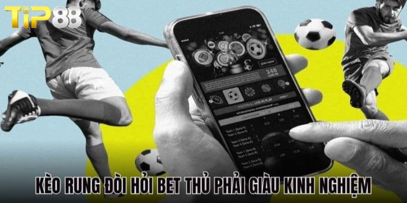 Hướng Dẫn Bắt Kèo Rung TIP88 Xanh Chín Thắng Cực Dễ Mẹo hay giúp đánh kèo rung TIP88 dễ thắng