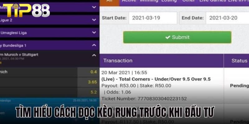 Hướng Dẫn Bắt Kèo Rung TIP88 Xanh Chín Thắng Cực Dễ Tìm hiểu cách đọc kèo rung TIP88 căn bản